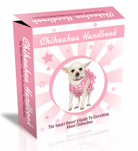 Chihuahua HTML PSD Template. (Englische PLR)