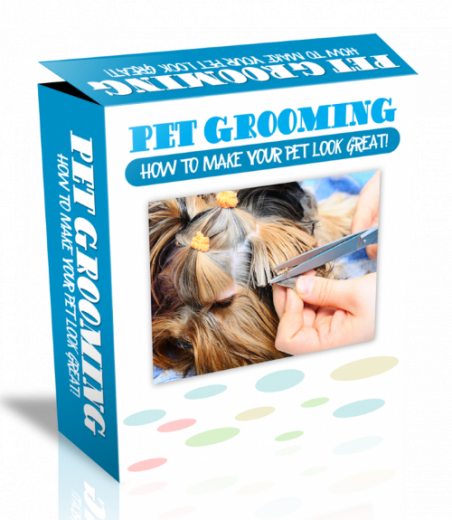 Pet Grooming HTML PSD Template. (Englische PLR)