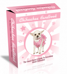 Chihuahua HTML PSD Template. (Englische PLR)