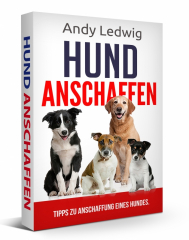 Hund Anschaffen.