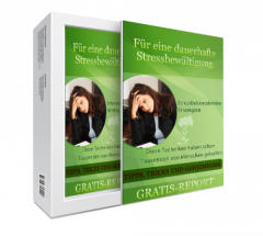 Dauerhafte Stressbewältigung. (PLR)